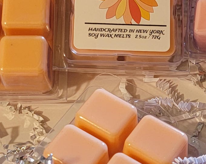 Strong Scented Wax Melts | long-lasting scent Wax Melt Tarts | Highly Fragrant  Wax Cubes | Handmade Soy Wax Melts, | Home Decor