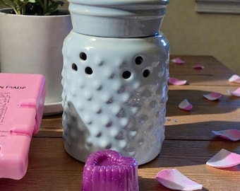 Electric Wax Melt Warmer: Home Fragrance Decor, Aromatherapy Gift