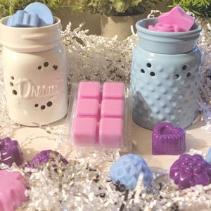 Electric Wax Melt Warmer: Home Fragrance Decor, Aromatherapy Gift