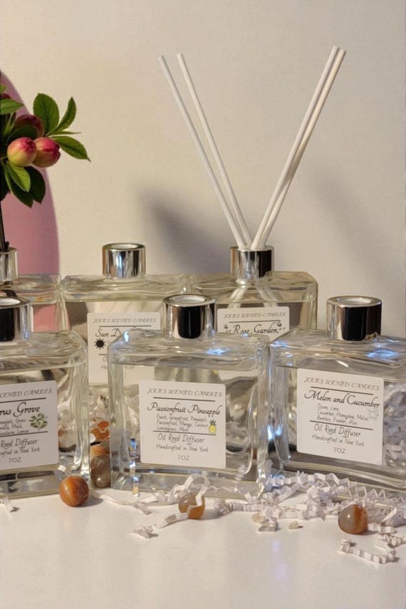 Aromatic Reed Diffuser with Bamboo Sticks, Long-Lasting Home Fragrance Oil Elegant Glass Vessel, Scented Reed Sticks Room Decor Luxury Gift