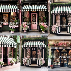 French Boutique Digital Backdrop (6)