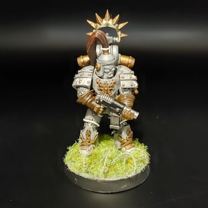 May include: A white and gold painted miniature figure of a space marine with a brown backpack and a gun. The figure is standing on a green base with barbed wire.
