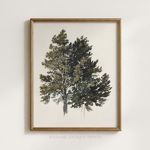 Puede incluir: Una lámina de arte mural enmarcada que presenta una pintura a la acuarela de un árbol grande y frondoso con follaje verde oscuro y oliva. La obra está enmarcada en un marco fino de metal dorado. El texto MADAME ANTIQUE PRINTS aparece abajo.