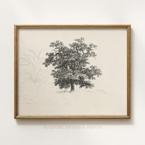 Antique Tree Etching Print, Vintage Botanical Engraving, Black and White Nature Art, French Country Wall Decor Printable