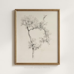 Op de afbeelding: Een ingelijste kunstdruk met een zwarte inkttekening van twee bomen met verstrengelde takken op een crèmekleurige achtergrond. Het kunstwerk zit in een dunne goudkleurige lijst. Onderaan staat de tekst MADAME ANTIQUE PRINTS gedrukt.