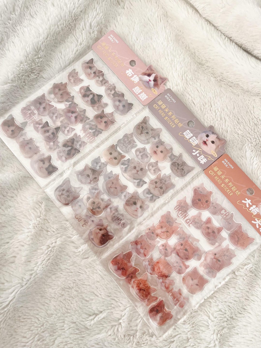 Cat Sticker Reacction Cat Meme Reaction Stickers Cute Funny Cat Face Stickers Real Cat Photos ...