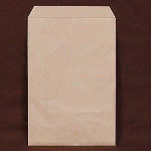 Flat Brown Kraft Merchandise Party Wedding Favor Paper Gift Treat Paper Bag, 100 pc. 6 x 9 pouces