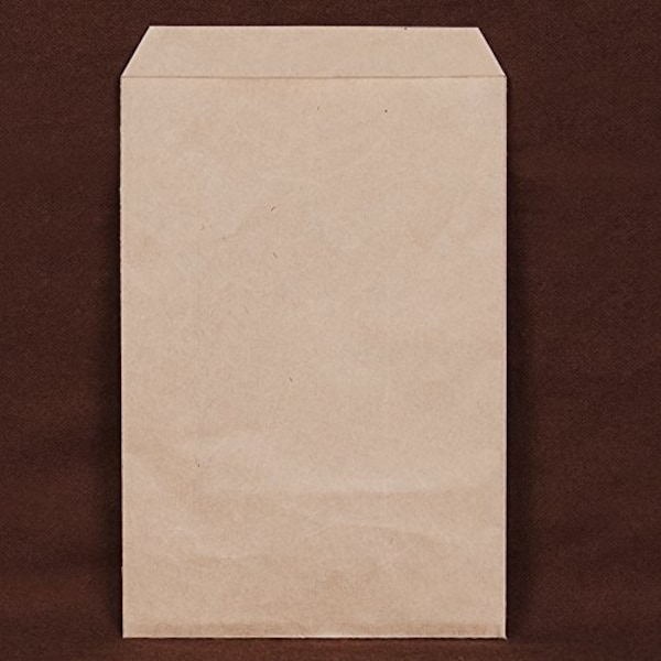 Flat Brown Kraft Merchandise Party Wedding Favor Paper Gift Treat Paper Bag, 100 pc. 6 x 9 inch