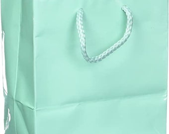 May include: A light blue gift bag with white rope handles.