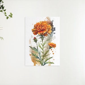 aquarela pôster de calêndula | Arte de casa simples | Download digital de arte de parede para impressão