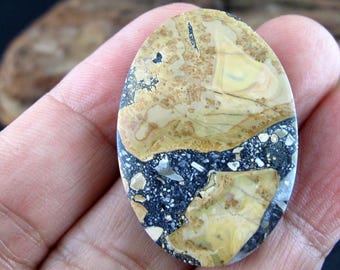 May include: Oval-shaped gemstone with a unique pattern. The top half features a tan and cream-colored design, while the bottom half is a mix of black, gray, and white. The stone is held in a hand, showcasing its natural beauty.