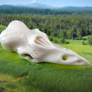 Carved buffalo bone Raven Pendant, Side-Drilled P545