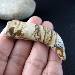 Picture Jasper Tusk Pendant | Drilled Curved Stone Pendant | Natural Jasper Fang Shape | Earthy Jewelry Supply | Rustic Stone Pendant