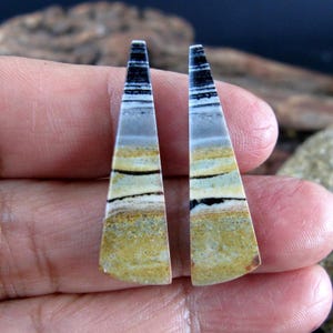 Pair natural Indonesian  jasper cabochon earring pair cabochon P587