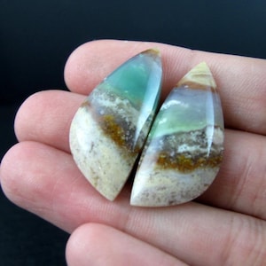 Petrified Opalized Wood Earring Pair | Fossil Wood Cabochons | Green Blue Opalized Wood | Matched Stone Pair P829