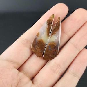 May include: Two teardrop-shaped agate cabochons with brown and white patterns. The cabochons are translucent and have a glossy finish.