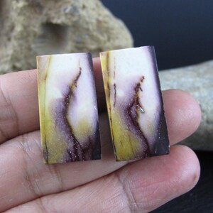 May include: Two rectangular, polished gemstones with a unique color pattern. The stones feature a blend of white, purple, and yellow hues, with dark brown vein-like patterns. The gemstones are held in a hand, showcasing their natural beauty.