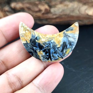 Beautiful fossilized palm Agate cabochon crescent shape P244