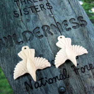 Carved Buffalo Bone Earring Set Raven