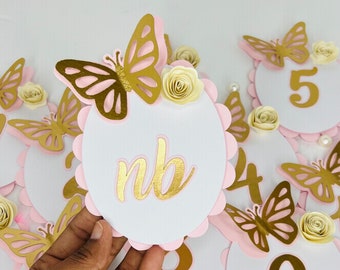 Floral Butterfly Monthly Photo Banner: First Birthday Decor