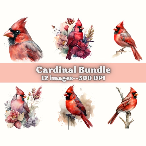 Red Cardinal PNG, Cardinal Clipart, Red Cardinal Bird, Watercolor Bird Clipart, Cute Bird PNG, Sublimation, Printable Digital Download, PNG