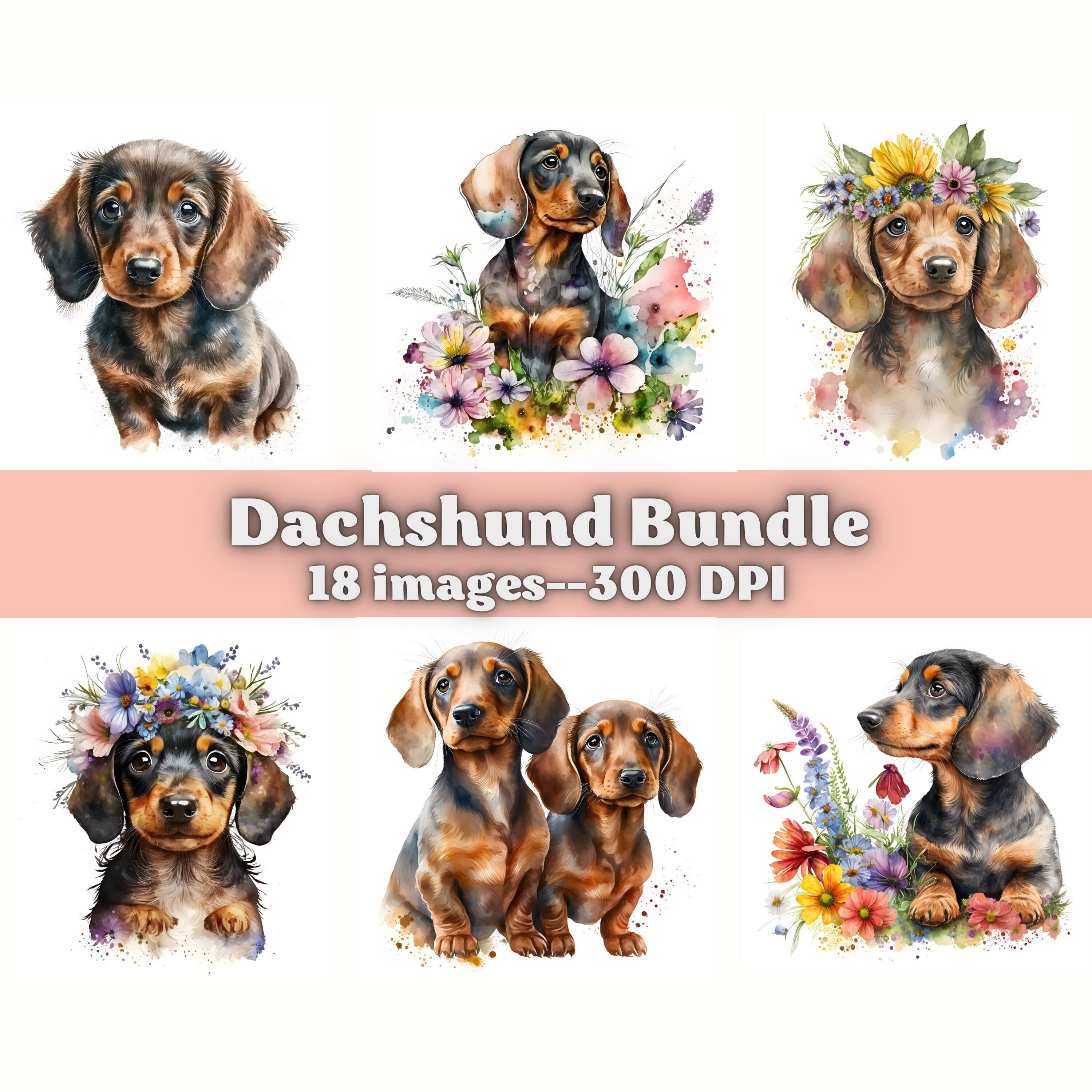 Dachshund Puppy Clipart, Watercolor Dachshund PNG, Cute Dog Clipart