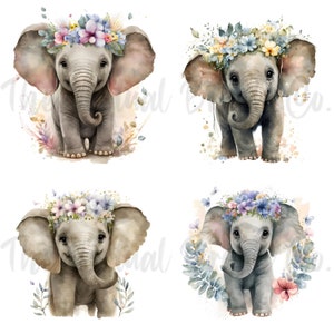 Safari Animal Clipart PNG Bundle Baby Elephant PNG - Etsy