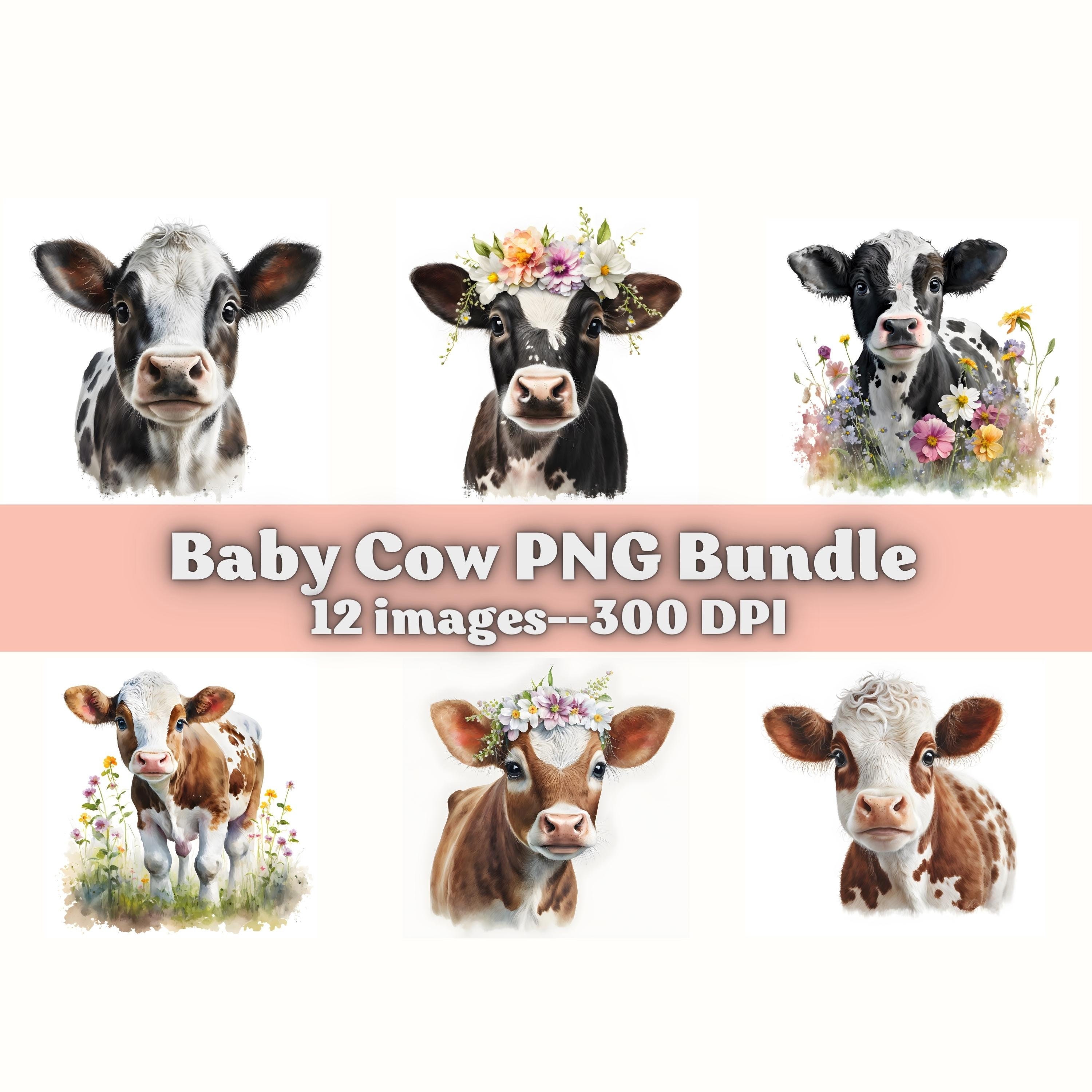 Baby Cow Clipart Farm Animals PNG Baby Cow PNG Calf - Etsy Canada