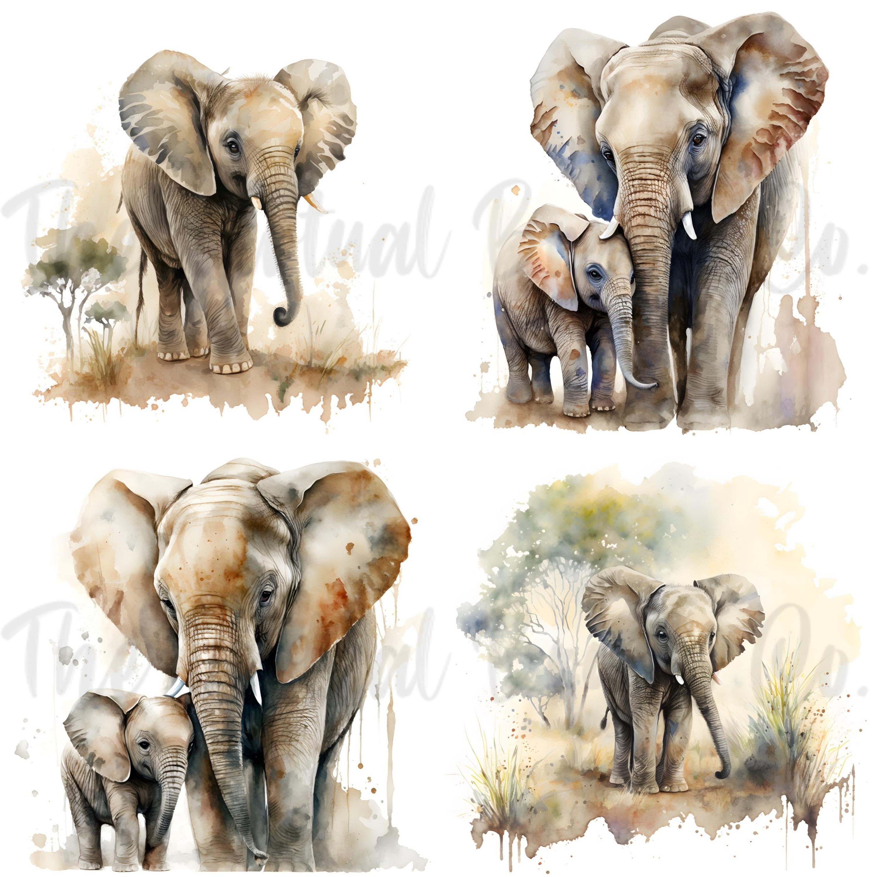 Safari Animal Clipart PNG Bundle, Baby Elephant PNG, Watercolor, Baby ...