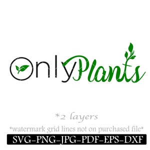 Może przedstawiać: Projekt logo dla firmy o nazwie "Only Plants" z zieloną ikoną liścia i tekstem w czarnym, ozdobnym kroju pisma.