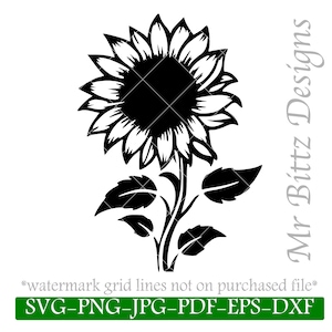Sonnenblume SVG, Floral Png, Transfer Aufkleber, Vektor, Cricut, digitaler Download, T-Shirt Grafik, Aufkleber, Sonnenblume Silhouette