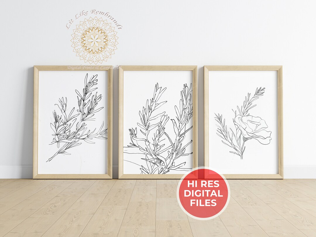 Botanical Line Art Prints, Set of 3 Modern Minimalist Floral Wall Decor ...