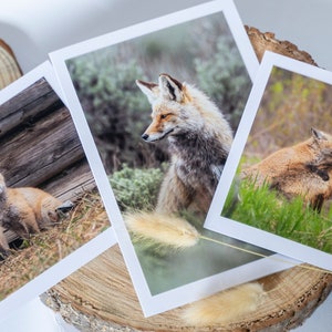 Cartes de vœux faites à la main - lot de 3 avec vos propres photos de renards réels - cartes pliantes renard roux, cadeau de naissance, carte d'anniversaire.