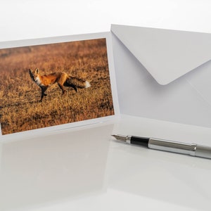 Carte de voeux avec vraie photographie renard, carte renard, carte pliante renard roux, carte postale renard, cadeau naissance renard, carte anniversaire renard