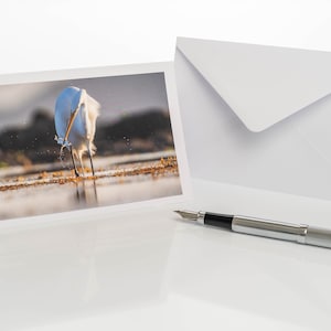 Grußkarte mit echter Fotografie &quot;Great Egret&quot;