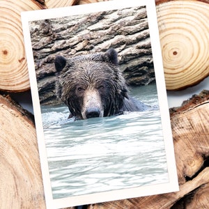 Greeting Card Grizzly Bear with Photography, Foldable Card Animal Lovers,Birthday Card Kids,Birth Announcement Card,Thank You Card,Bear Card