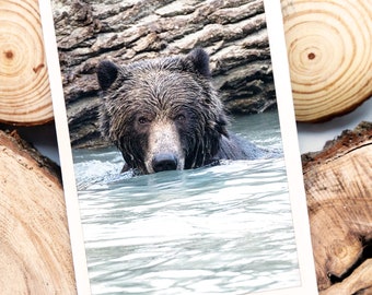 Grusskarte Grizzlybär mit echter Fotografie, Faltkarte für Tierliebhaber, Geburtstagskarte für Kinder, Karte zur Geburt,Dankeschön,Karte Bär