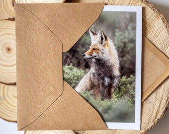 Grußkarte mit echter Fotografie Fuchs,Karte Fuchs, Klappkarte Rotfuchs,Postkarte Fuchs,Geschenk zur Geburt Fuchs,Geburtstagskarte Fuchs