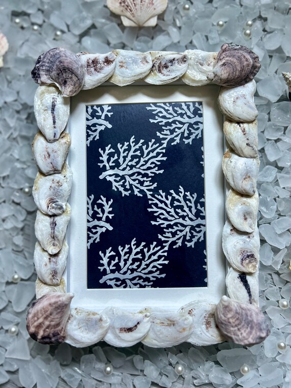 Oyster 2 frame sales