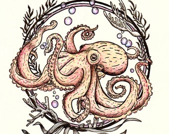 Ornate Octopus