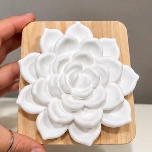May include: A white, three-dimensional succulent flower sculpture mounted on a square, light-colored wooden base. The flower features multiple layered, rounded petals arranged in a circular pattern, creating a textured, relief-style design.