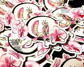 Pegatina de mantis orquídea