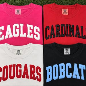 May include: Four t-shirts in pink, red, white, and black, each with a different team name in bold, block letters: Eagles, Cardinals, Cougars, and Bobcats. The shirts are laid out on a green surface with a white stripe.