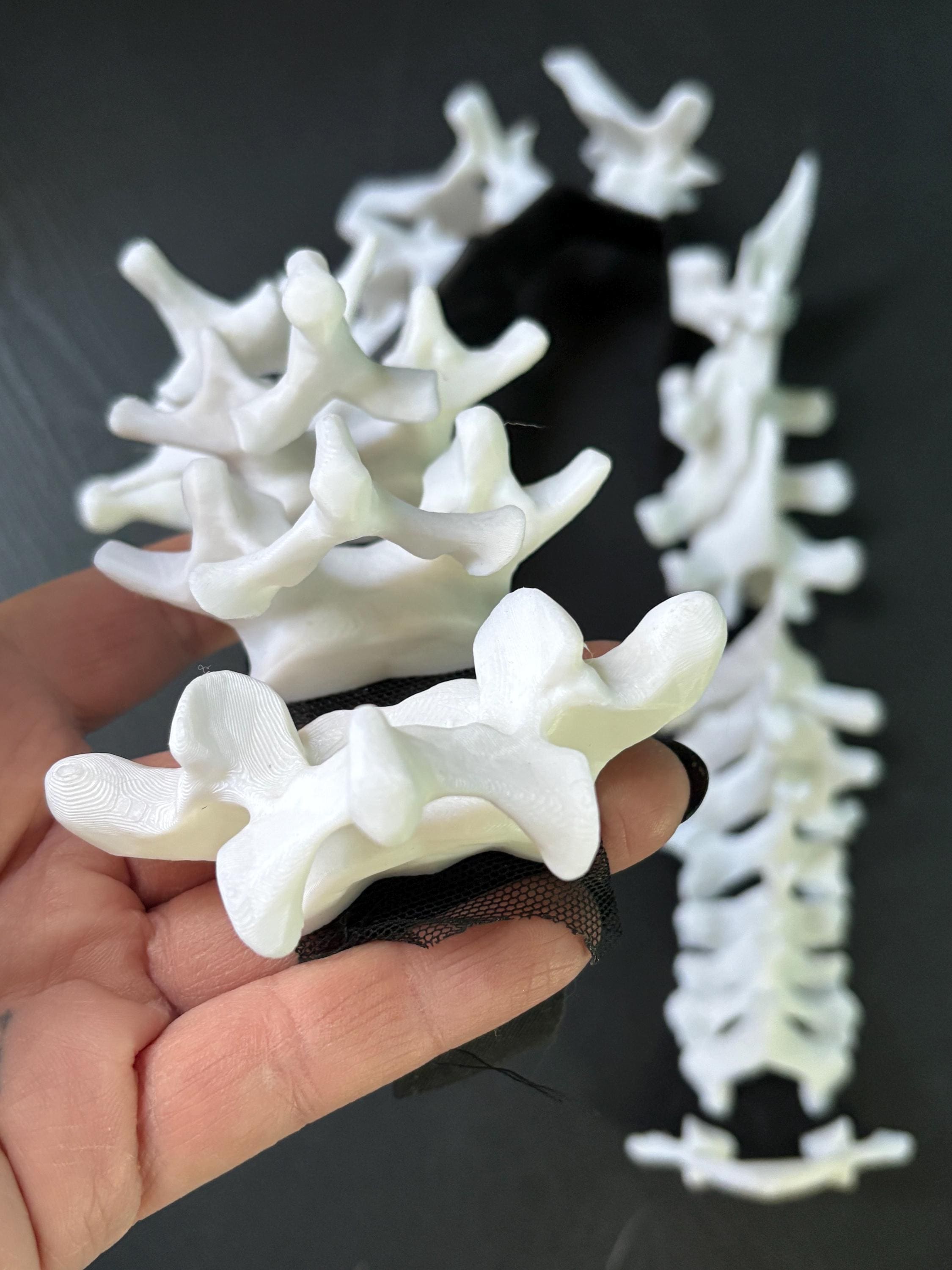 3D Spinal Column: Bones White Printed Black Mesh - Halloween