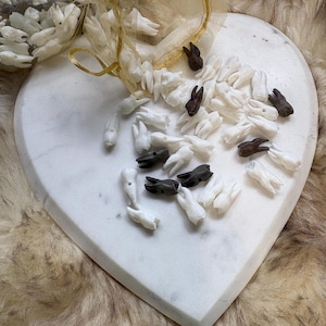 Puede incluir: Una colección de pequeñas cuentas con forma de diente en colores blanco sólido y marrón oscuro. Estas cuentas presentan un pequeño orificio cerca de la parte superior y están esparcidas sobre una superficie de mármol blanco en forma de corazón.