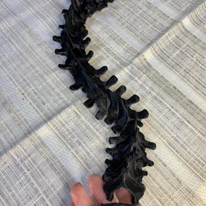 Puede incluir: Un objeto negro decorativo en forma de espina dorsal con detalles intrincados. El objeto es curvo y tiene una serie de elementos que sobresalen a lo largo de su longitud. El objeto se sostiene en la mano de una persona y descansa sobre una superficie texturizada blanca y beige.