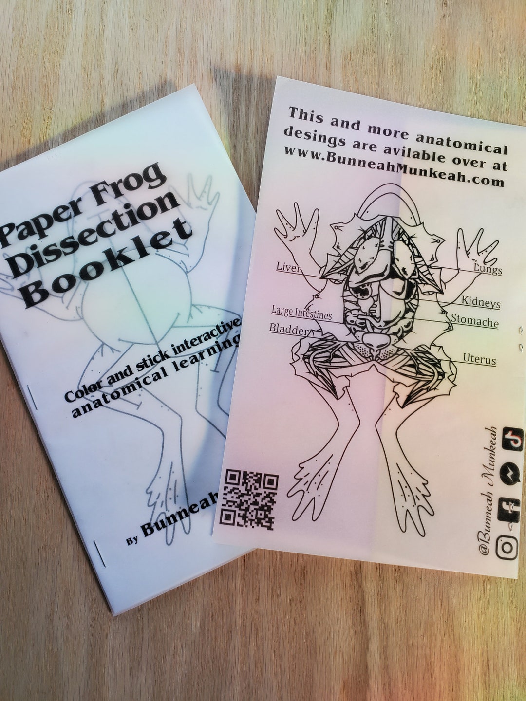 Paper Frog Dissection Booklet Etsy