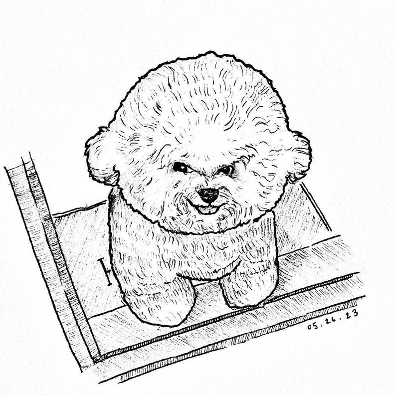 Op de afbeelding: Zwart-wit illustratie van een pluizige witte hond met een glimlachende uitdrukking. De hond zit op een houten oppervlak. De datum "05.26.23" staat in de rechter benedenhoek.