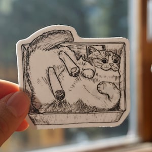 Flüssige Katze Aufkleber | Katze in Box | Matt Vinyl Aufkleber | Niedliche Sticker | Illustrierte Aufkleber | Lustiger Katzenaufkleber | Laptop Aufkleber | Katze Art