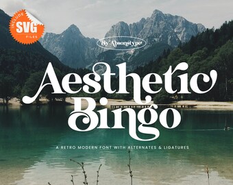 Esthetisch bingolettertype - retro-modern lettertype met alternatieven (OTF, TTF en SVG)